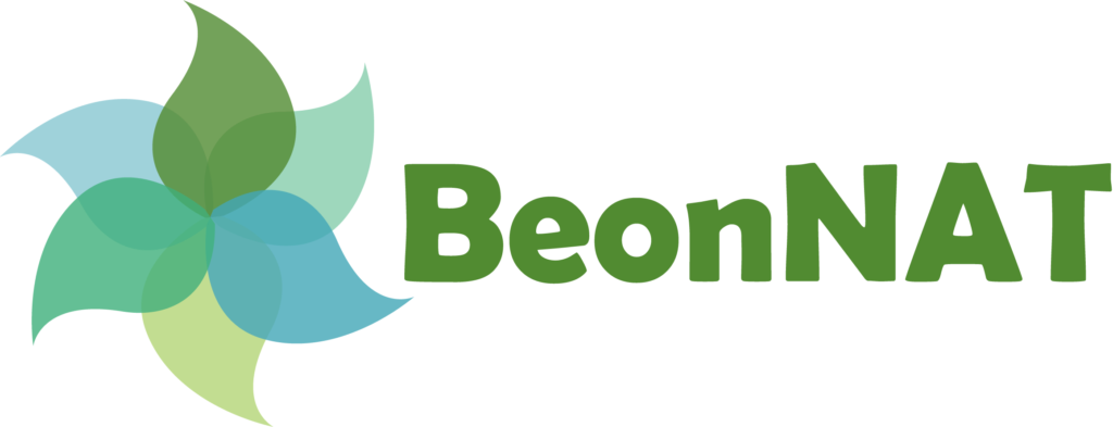 BeonNAT logo